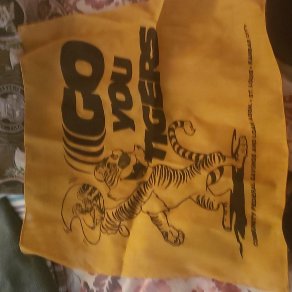 Vintage 1970s missiouri tigers - Picture 1 of 2
